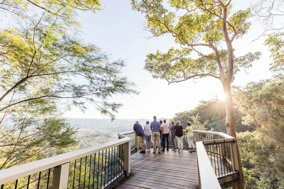 Sunshine Coast Hinterland Highlights Tour: Discover Maleny and Montville