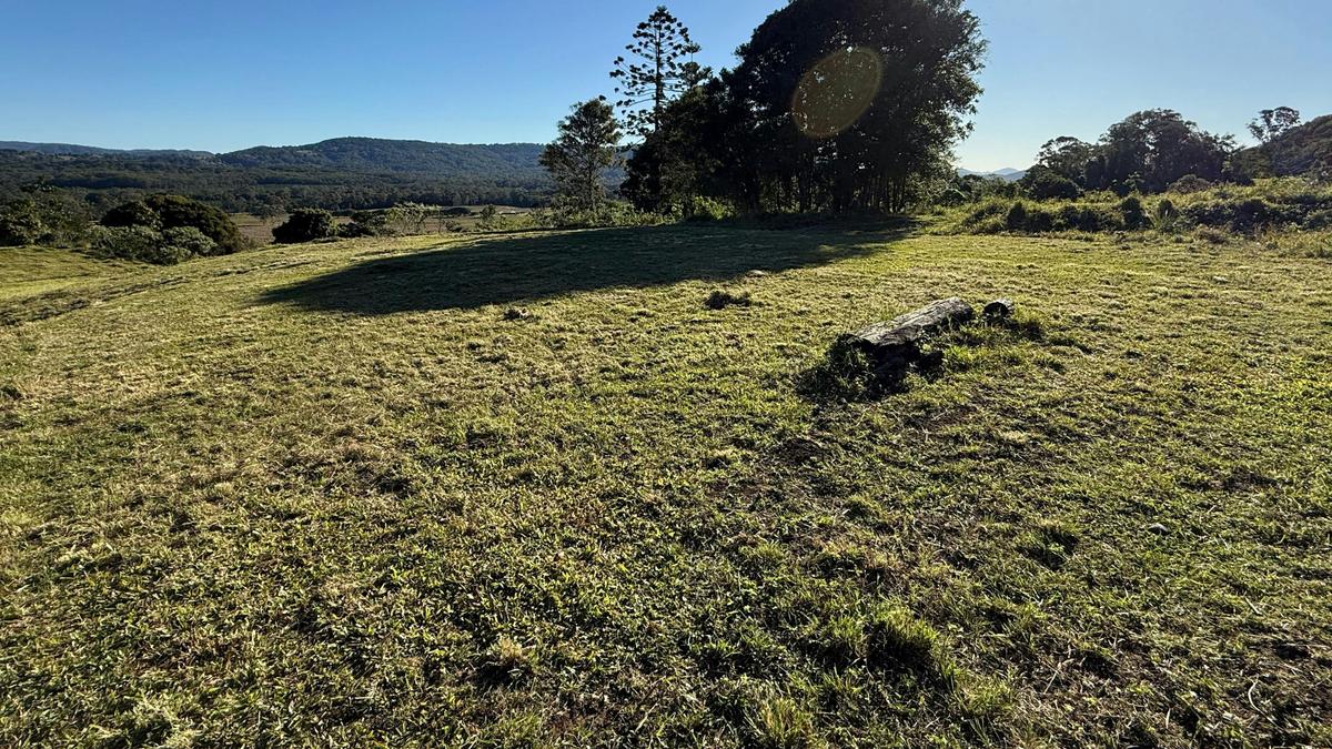 Coondoo Springs
