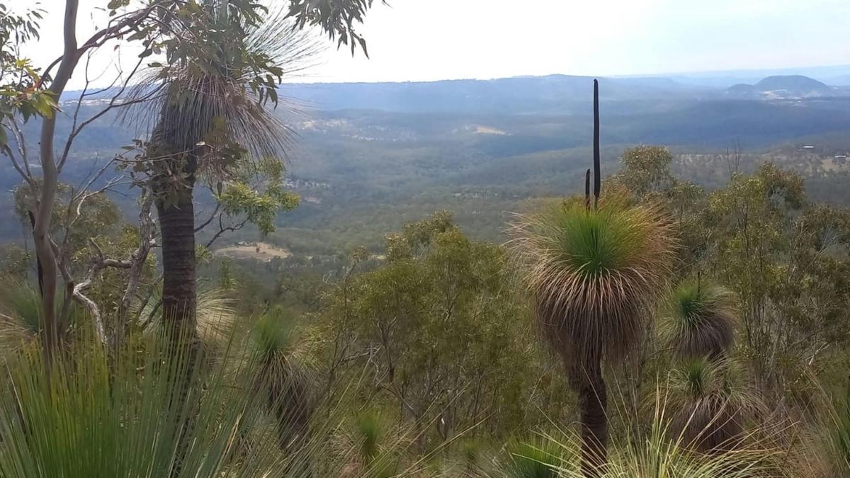 Curragundi Ridge