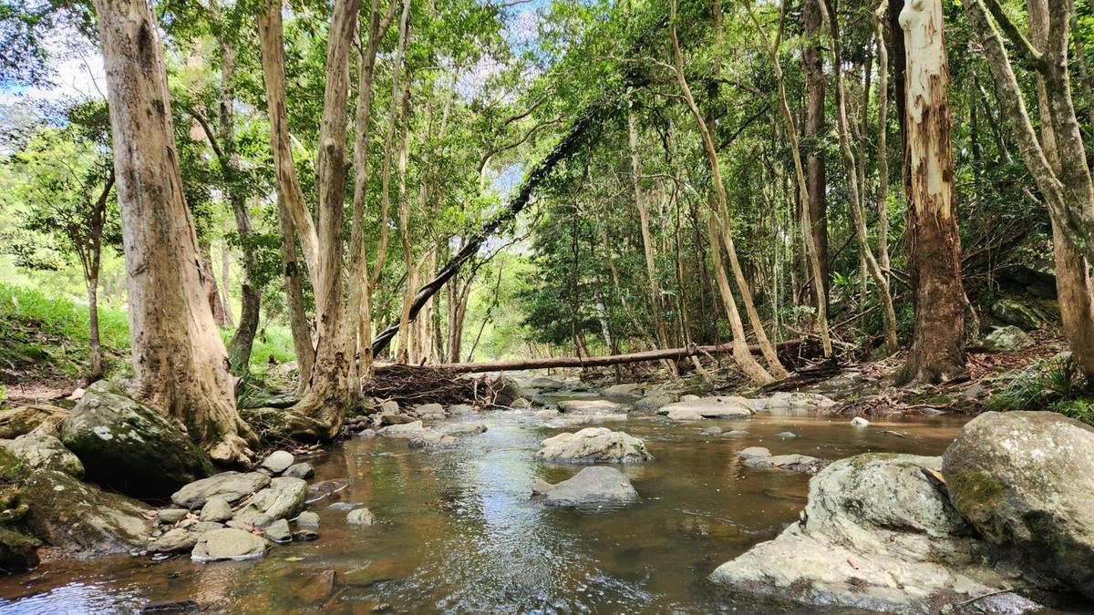Coorie Vale