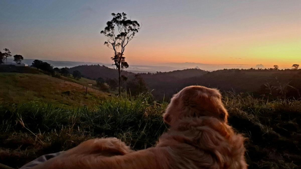 Coorie Vale