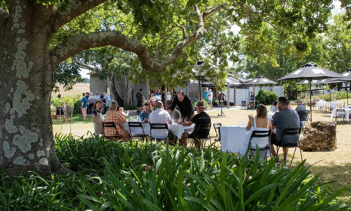 Join us at the Vineyard Cellar Door for woodfired pizzas
