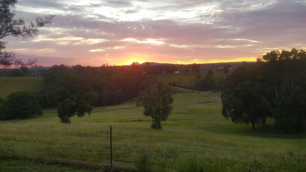 Summer sunset.