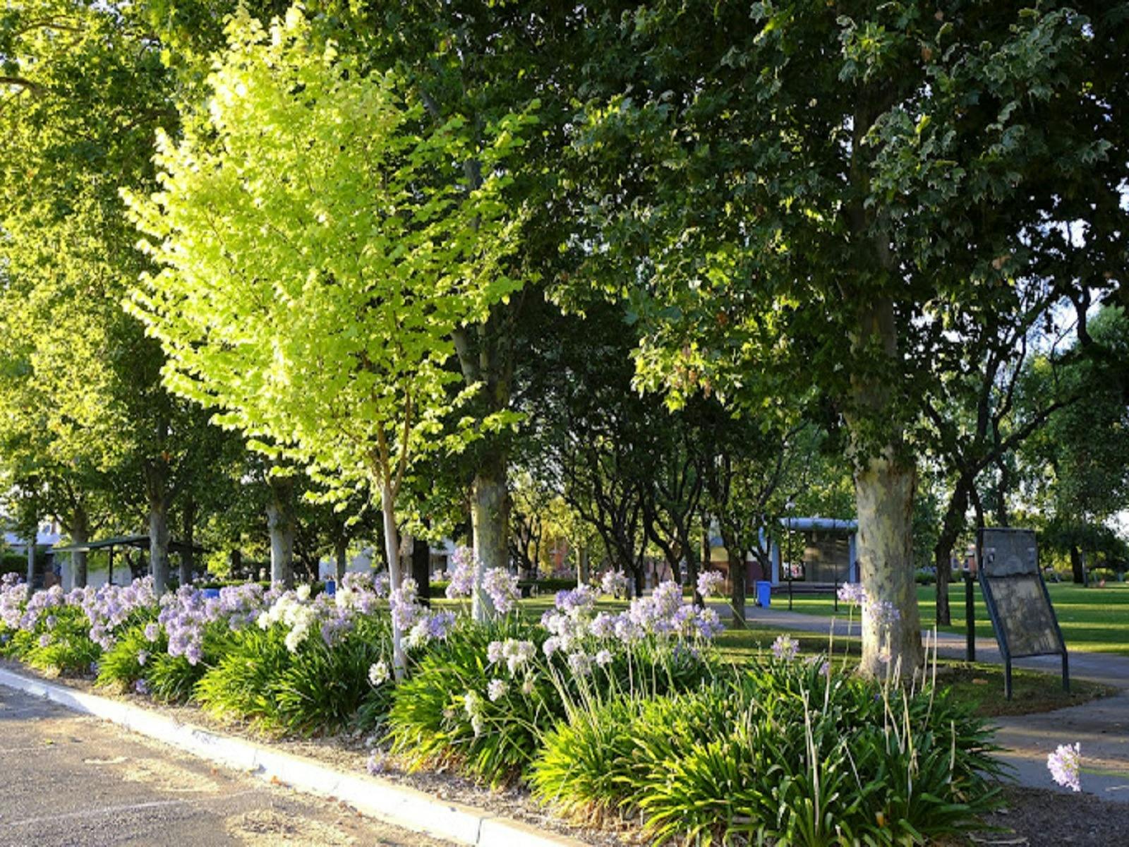 Beautiful gardens within the park