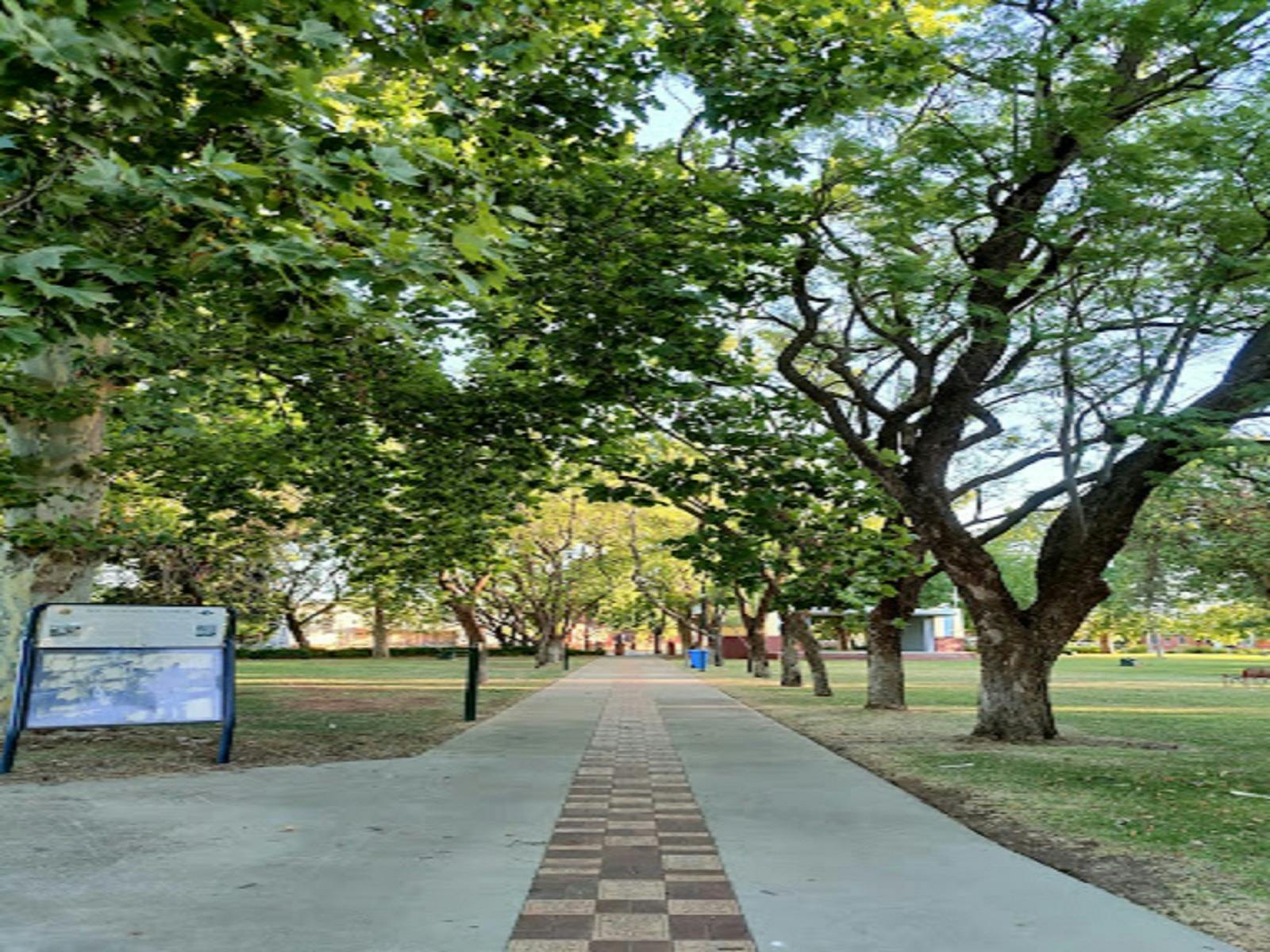 Footpaths within the park