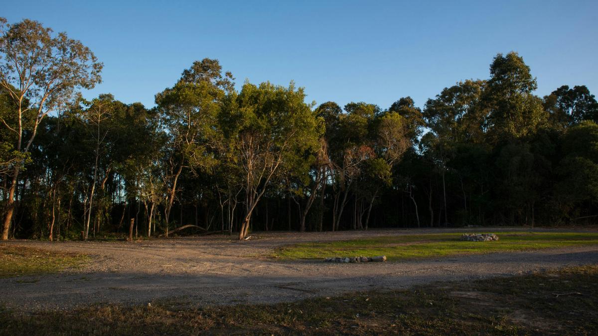 Conservation Camping at Maroochy