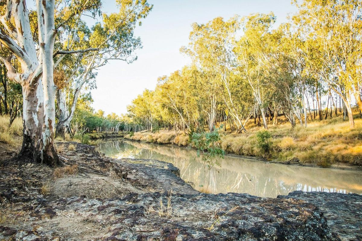 Condamine River, stroll down for a fish while staying at Condamine River Caravan Park