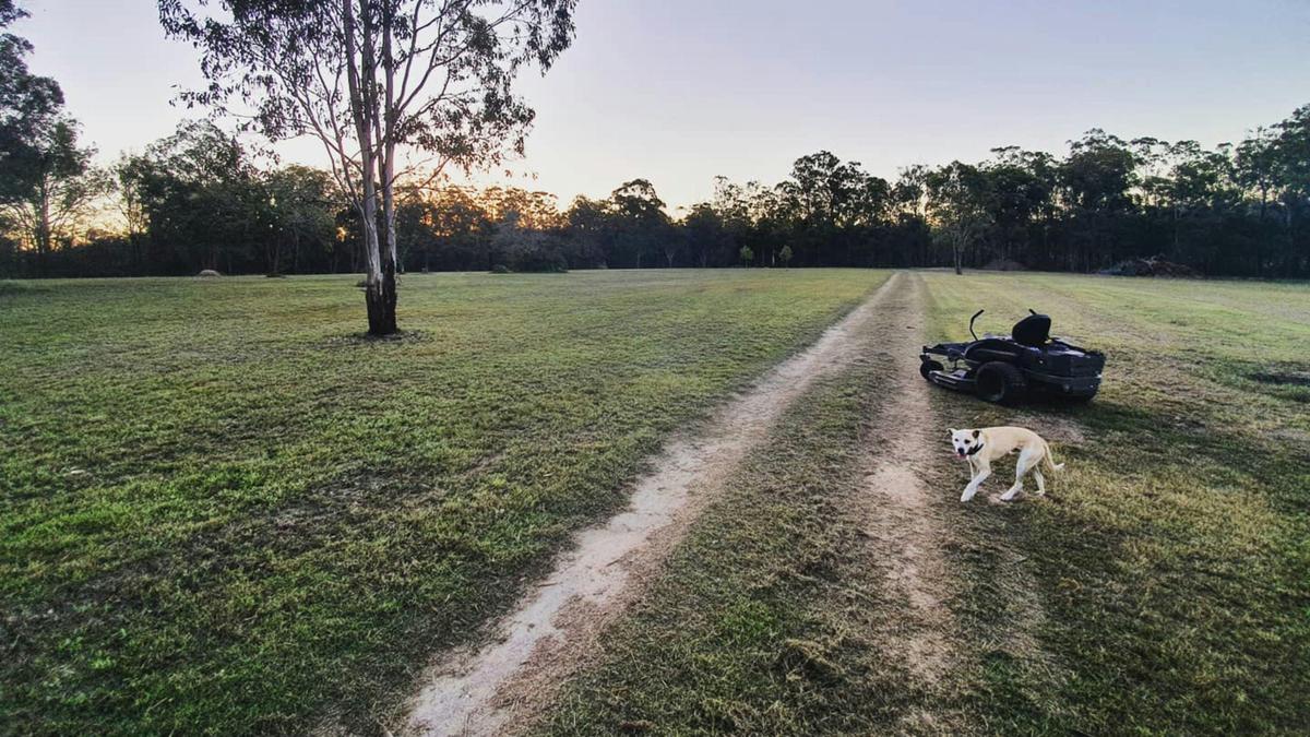 Crows Nest Paddock Camp