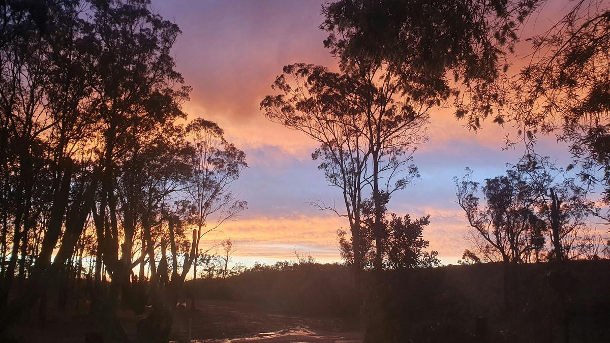 Crows Nest Paddock Camp