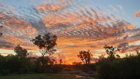 Crows Nest Paddock Camp
