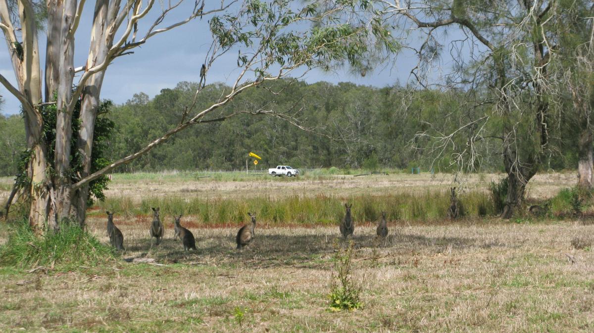 Coombabah Lakes Conservation Area 