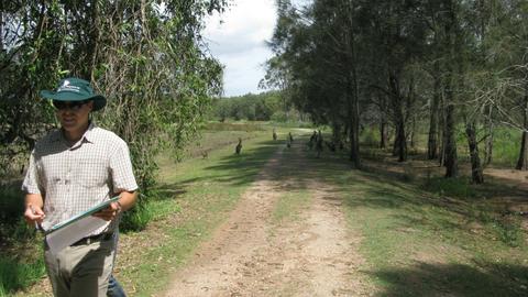 Coombabah Lakes Conservation Area