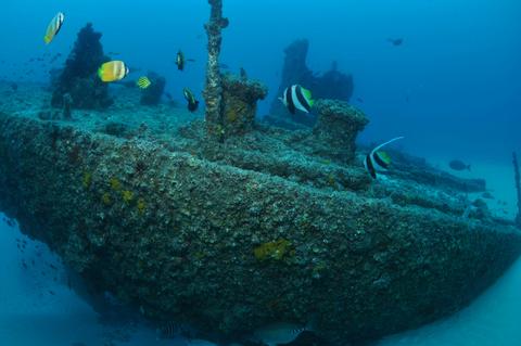 Curtin Artificial Reef Dive Site