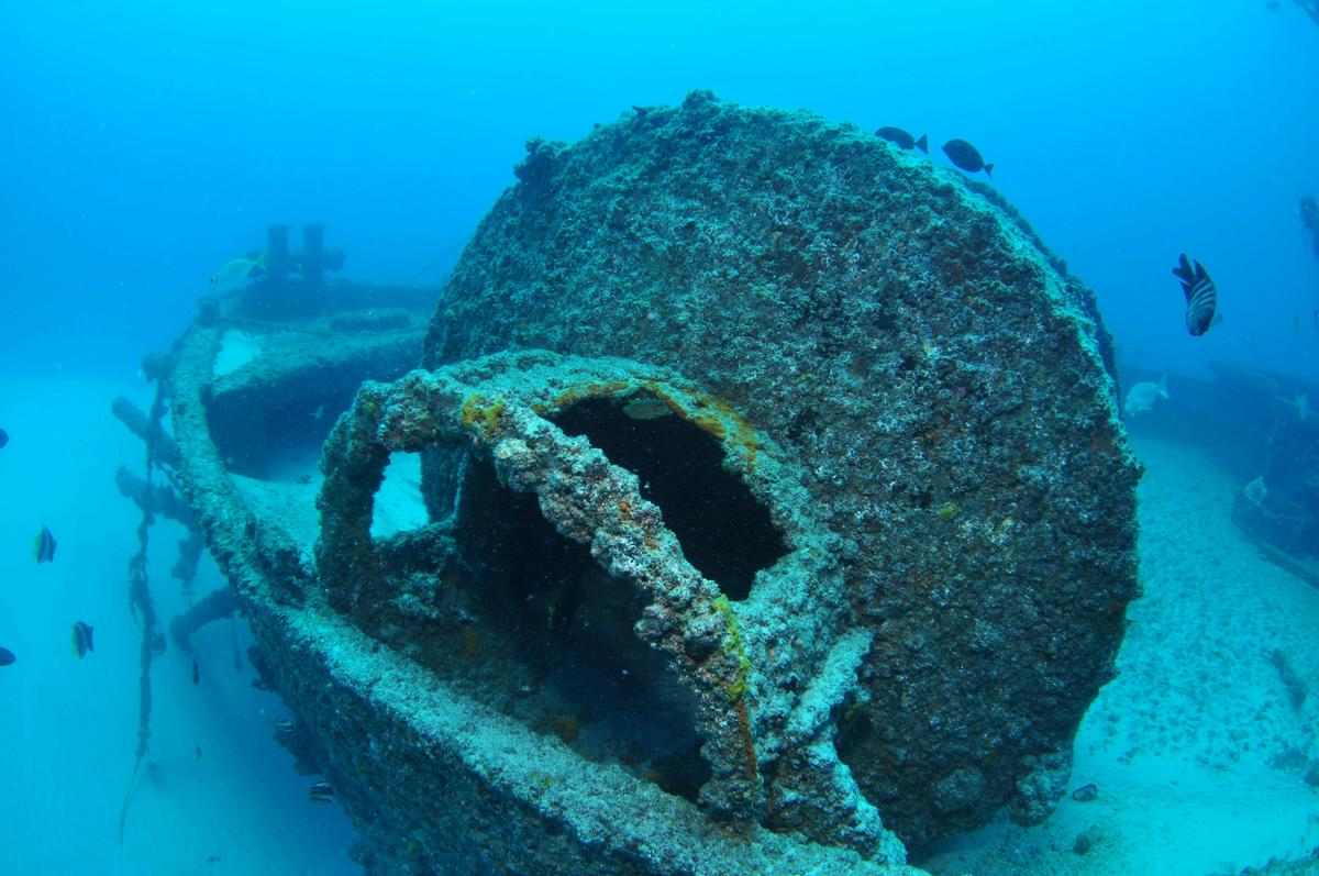 Curtain Artificial Reef