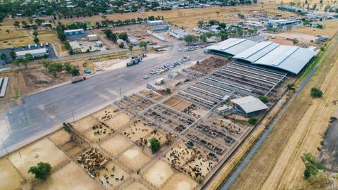 Dalby Saleyards Tours - WDRC