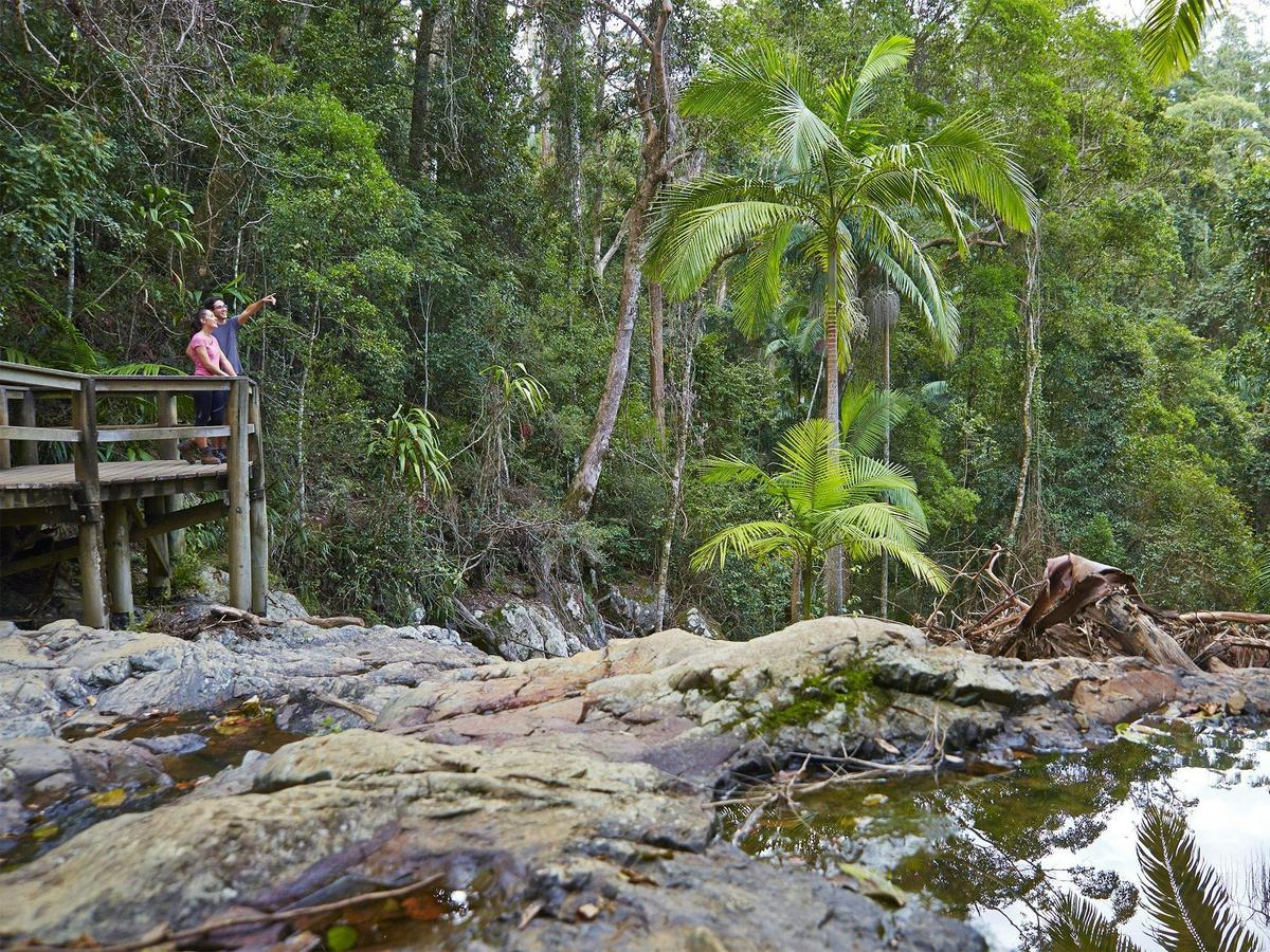 The Greenes Falls walking track leads through rainforest to a lookout above the falls.