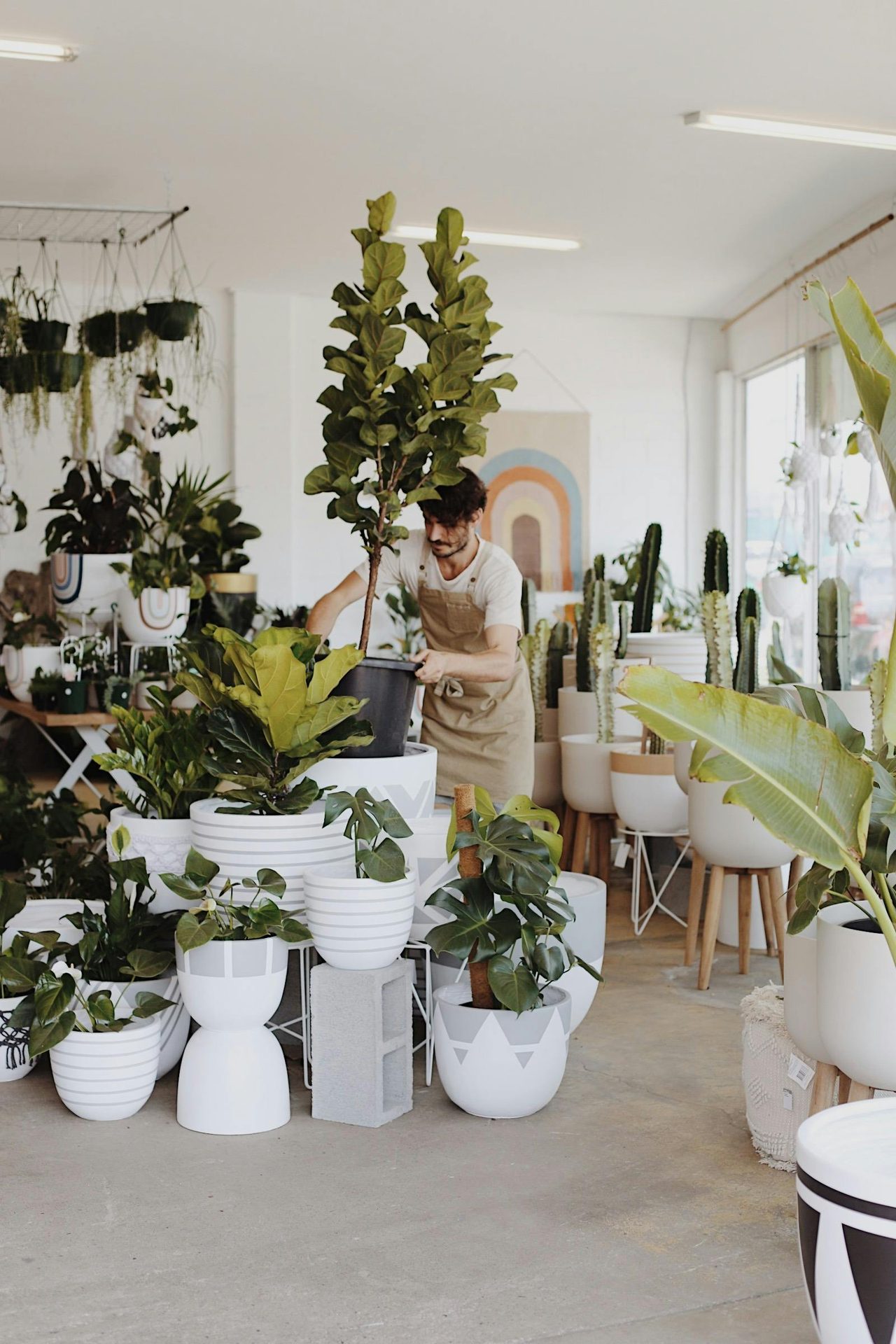Mowgli Studio