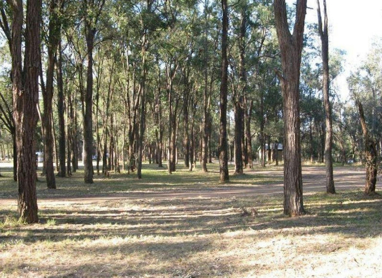 McNamara Park