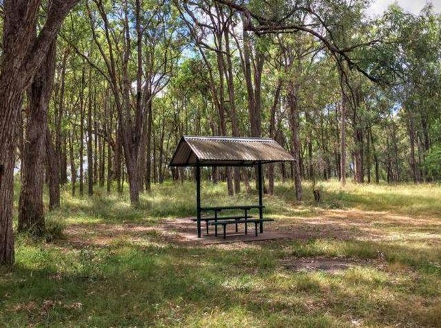 McNamara Park Free Camping Spot