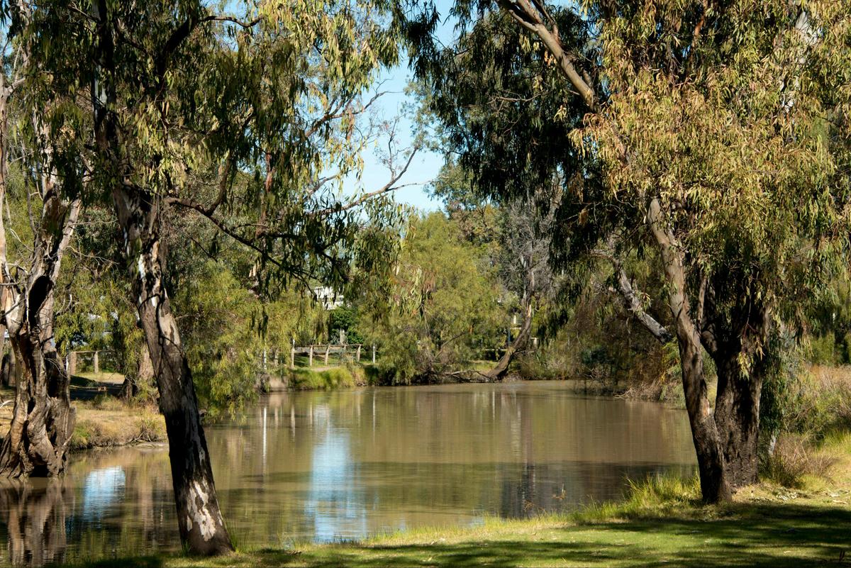 Myall Creek, Dalby