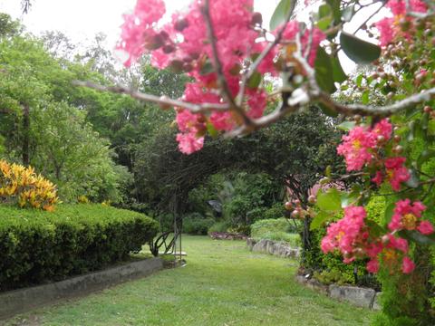 Coucals Open Garden