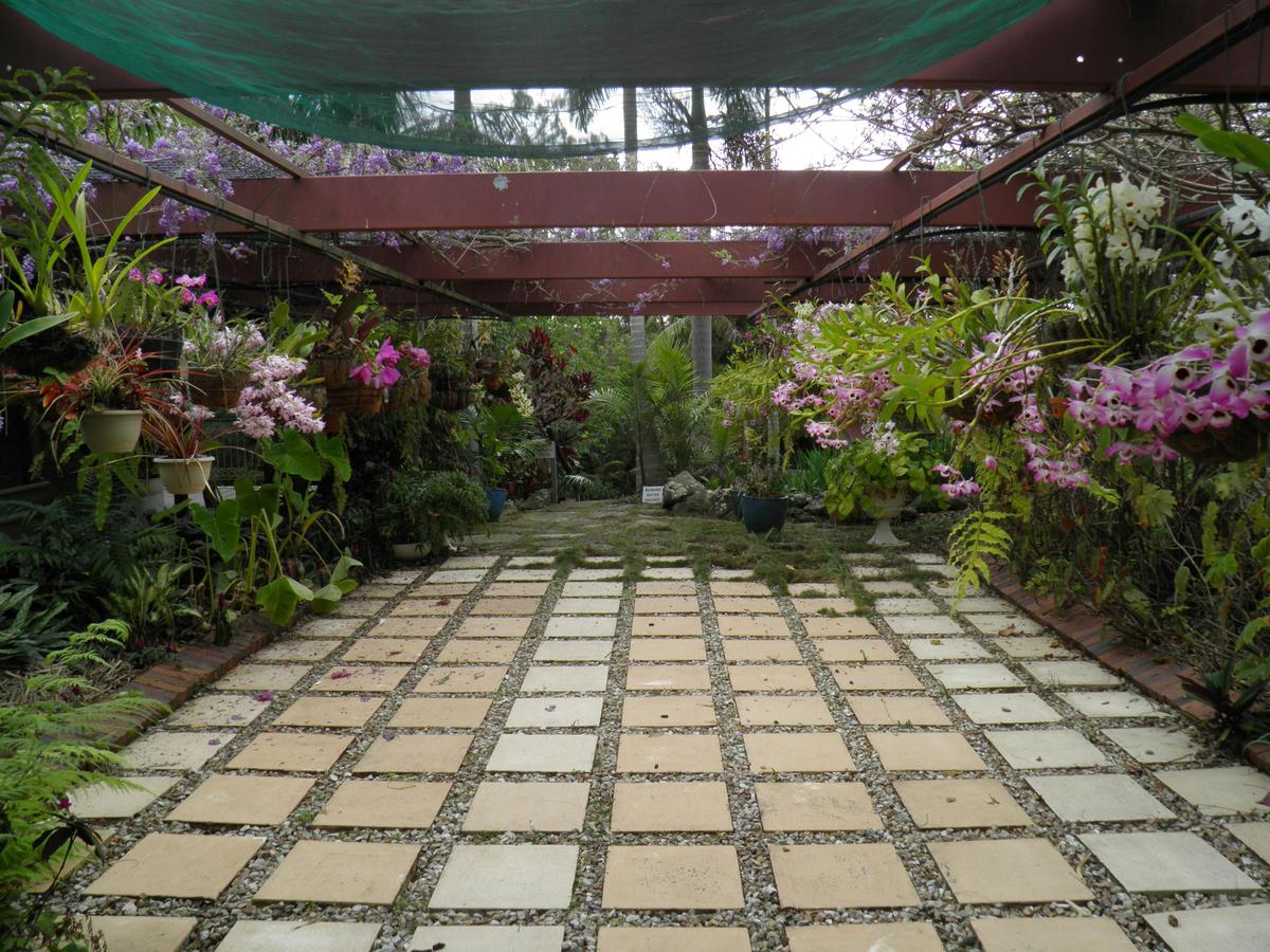 Wisteria/Orchid courtyard