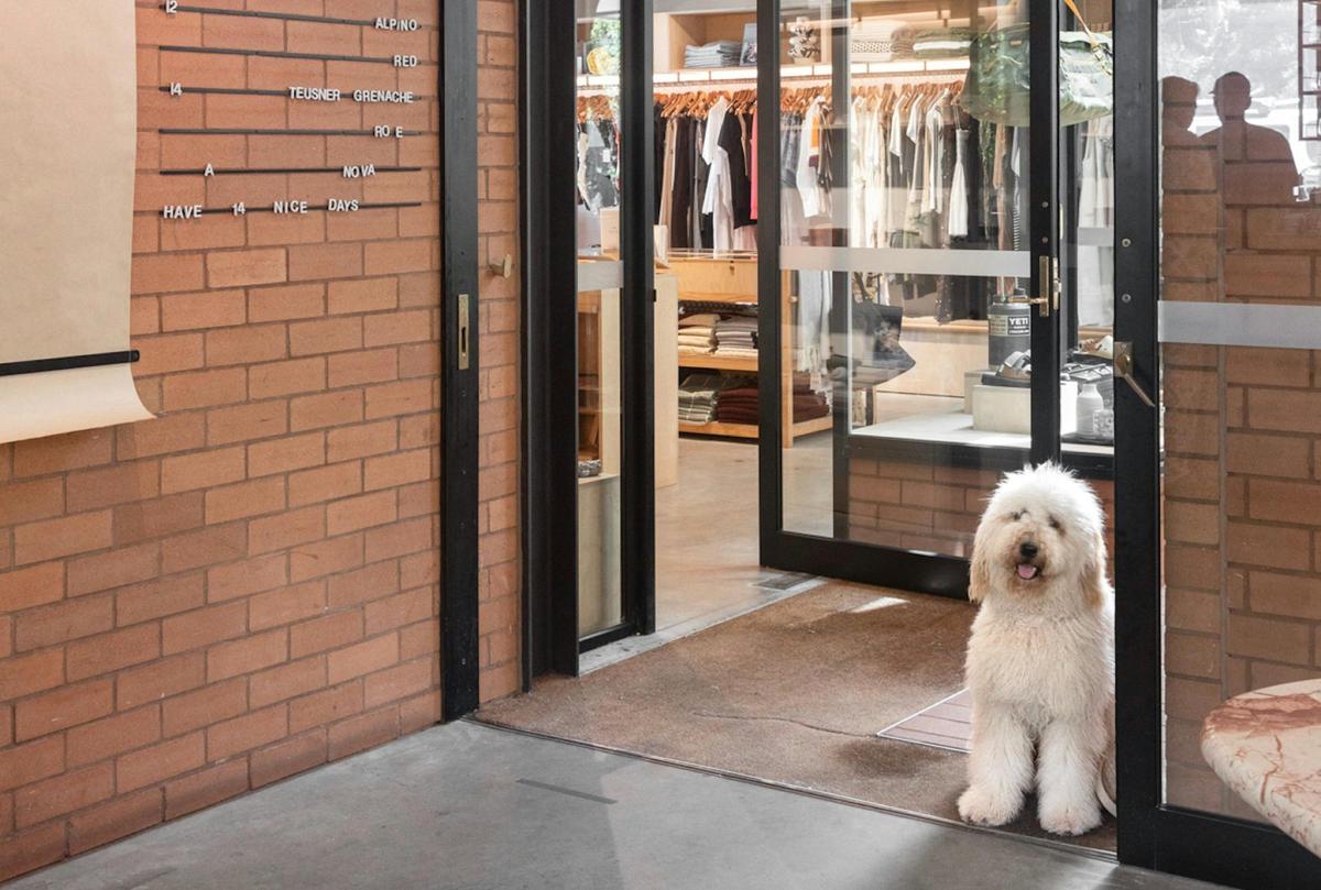 We are a dog-friendly boutique at Cornerstone Stores Tugun.