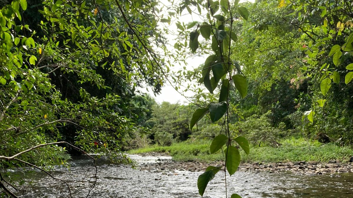 Crystal Valley
