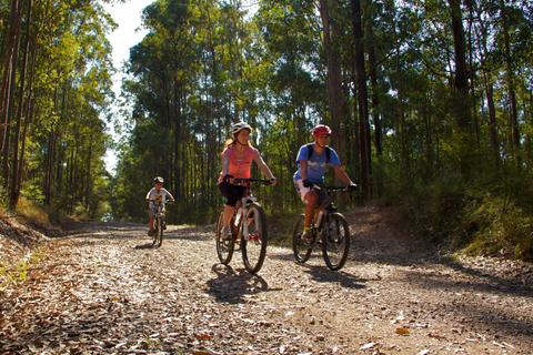 Daisy Hill Conservation Park