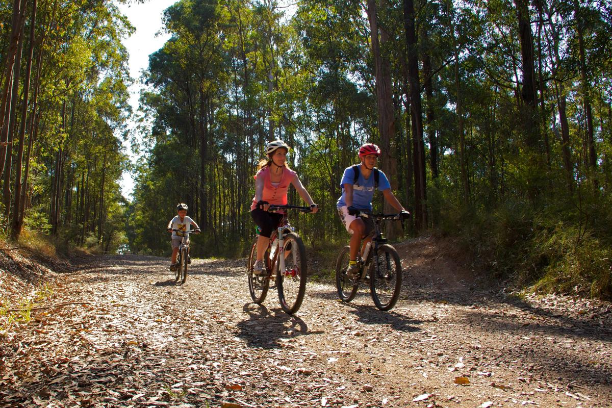 Cycling at Daisy Hill Conservation Park