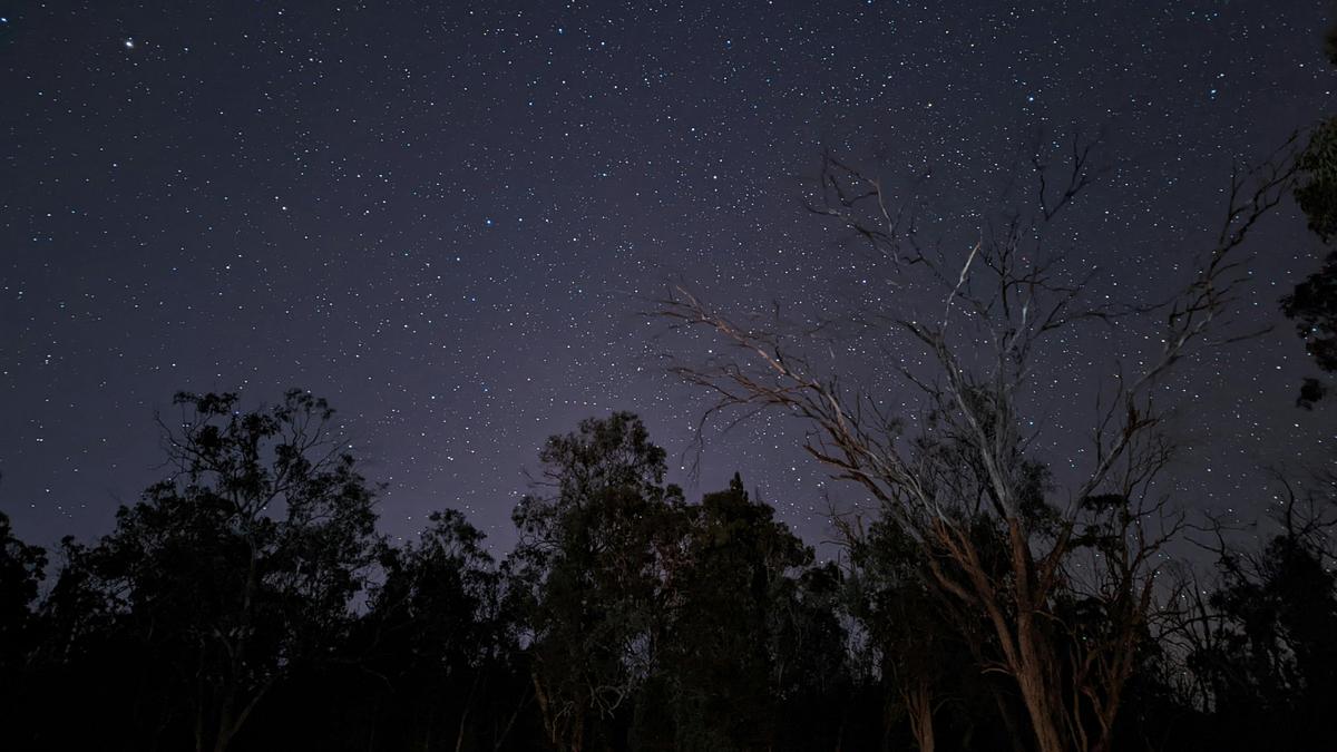 Coolibah Cottage