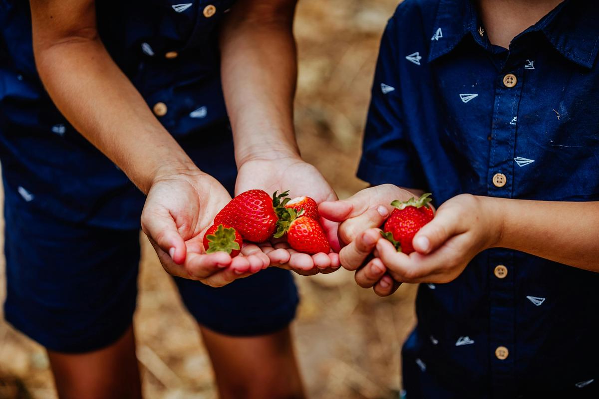 Delicious strawberries