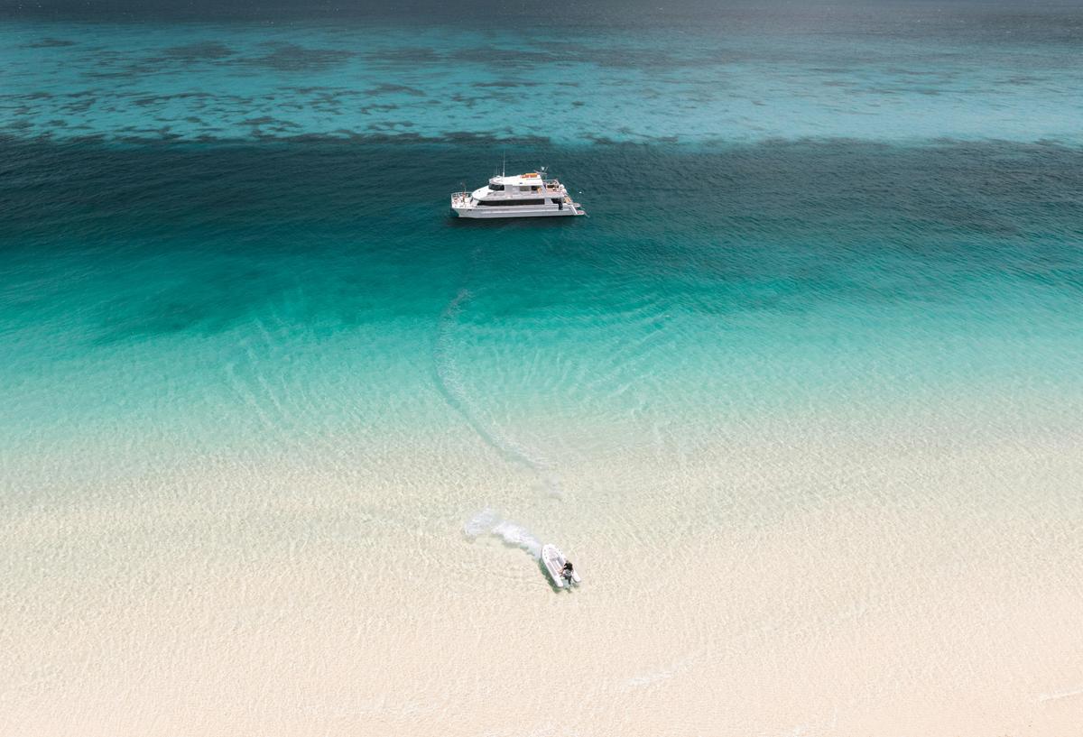 Moreton Island Eco Marine Safari Cruise and Snorkel