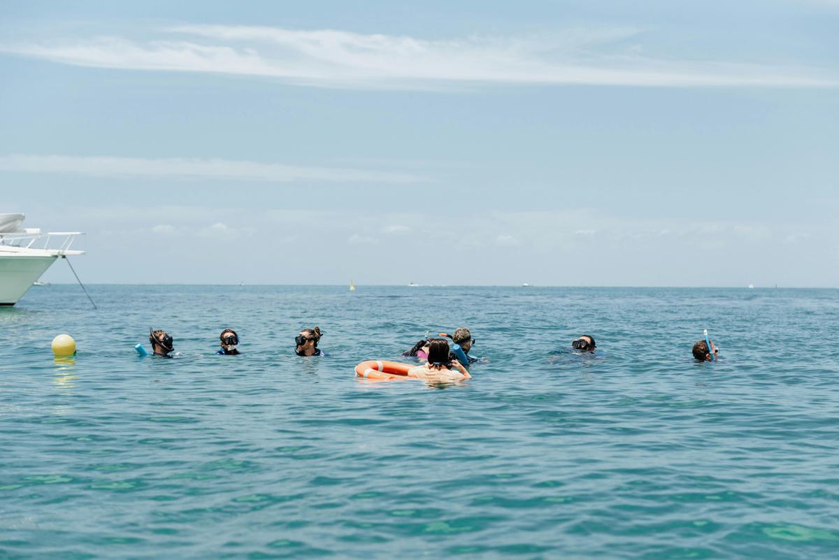 Moreton Island Eco Marine Safari Cruise and Snorkel