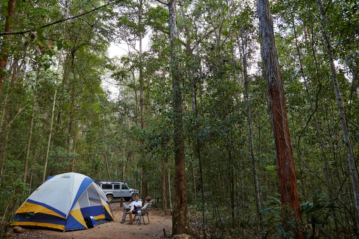 Neurum Creek camping area, Mount Mee, D'Aguilar National Park