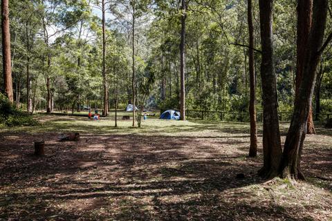 D'Aguilar National Park camping