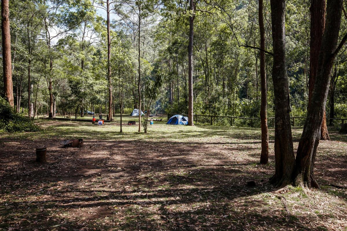 Archer camping area, Mount Mee, D'Aguilar National Park