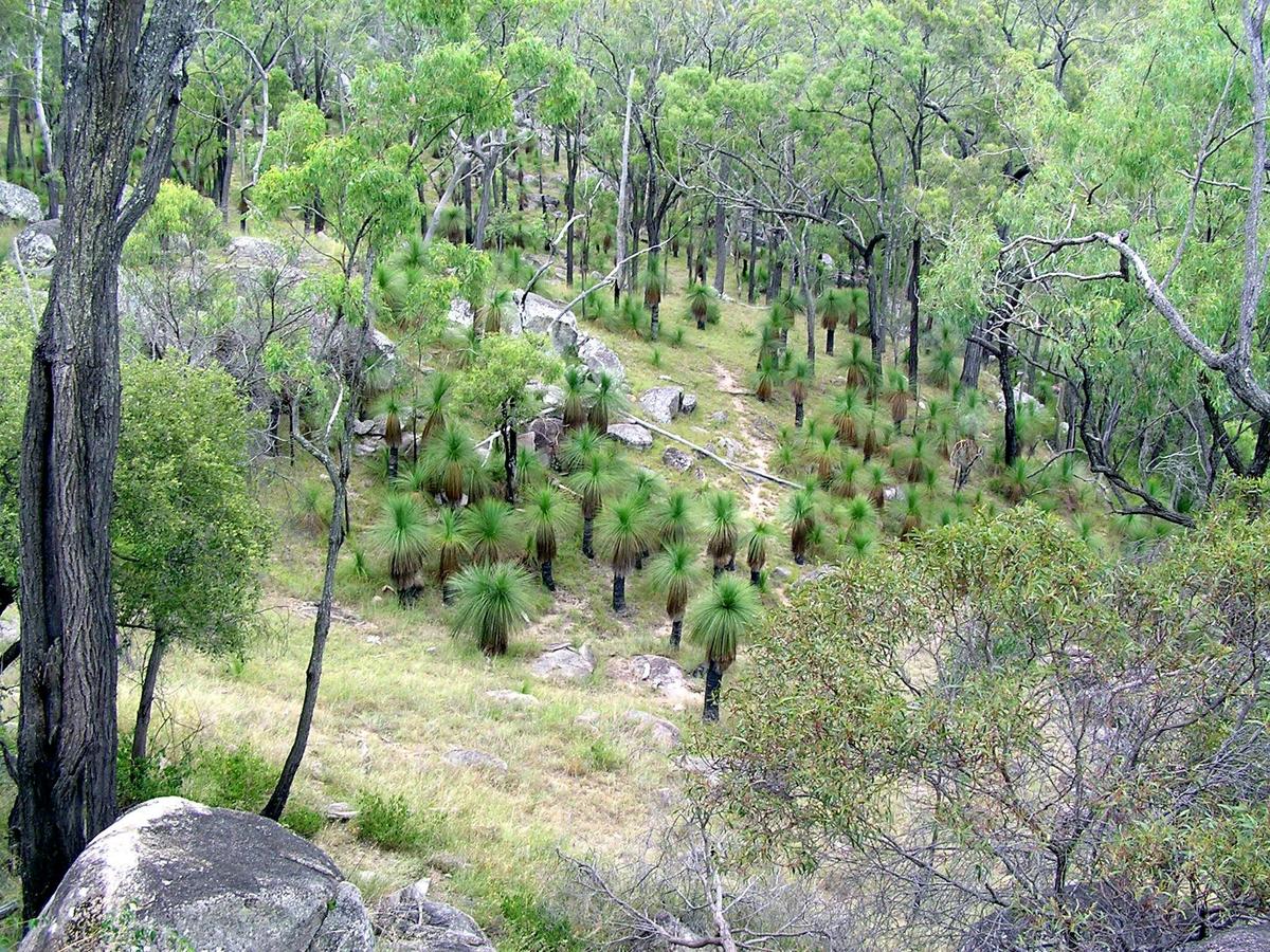 Coomba Falls