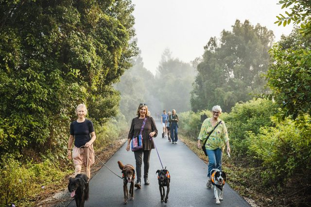 Northern Rivers Rail Trail
