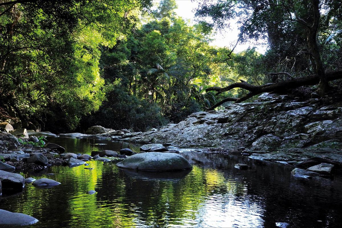 Currumbin Rock Pools