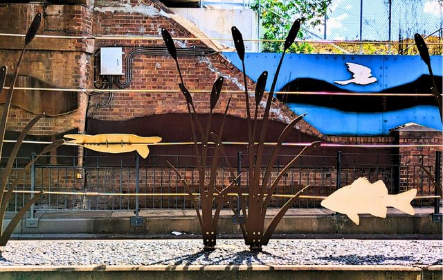 Muswellbrook Railway Underpass