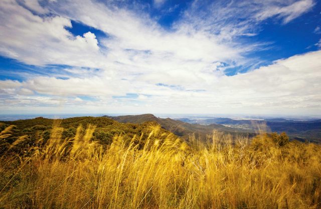 Mount Kaputar Summit Walk