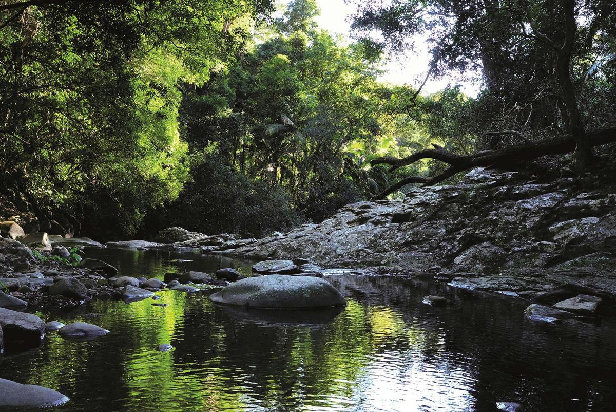 Currumbin Rock Pools