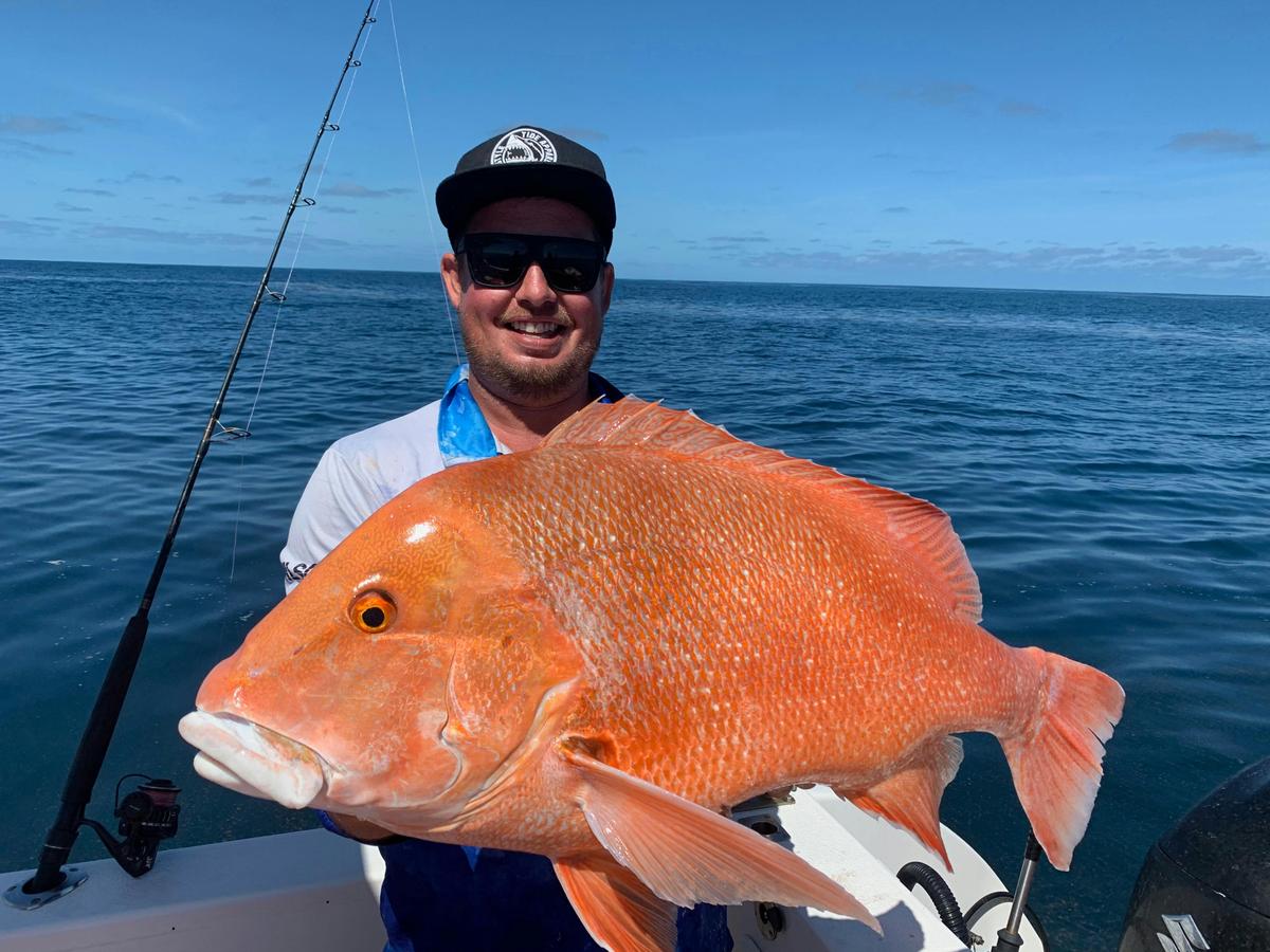 Red Emperor