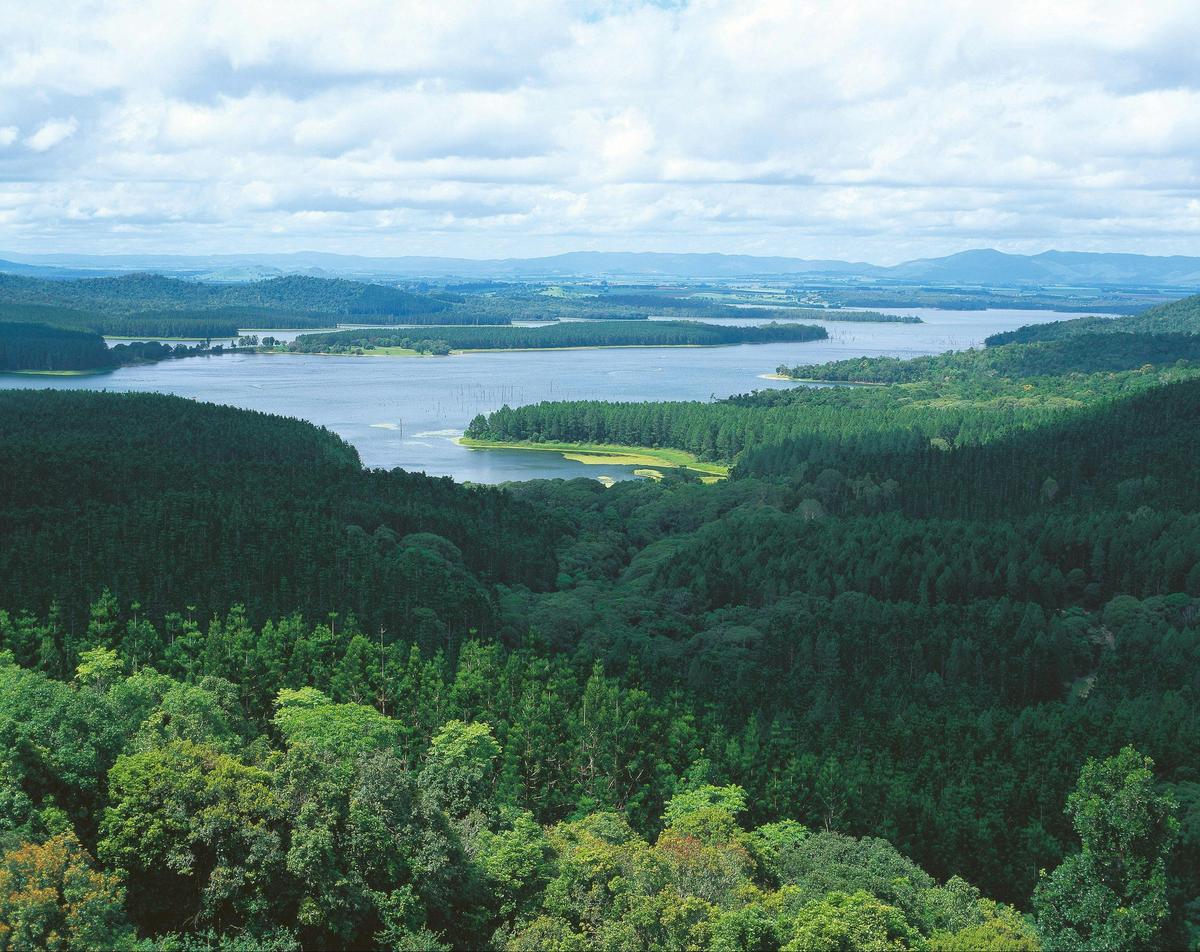 Lake Tinaroo from Danbulla National Park and State Forest