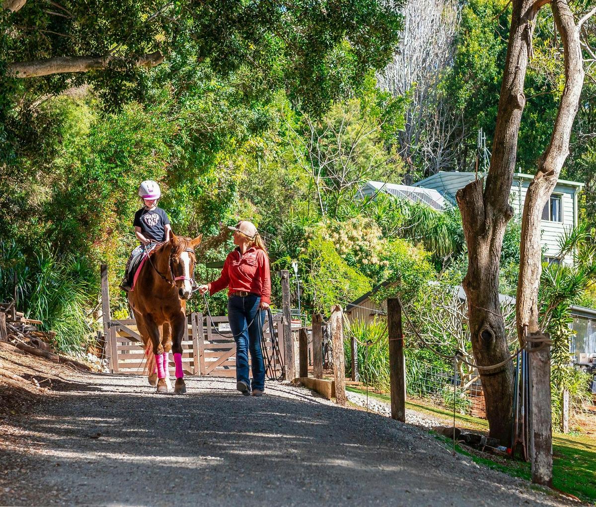 Visit the horses