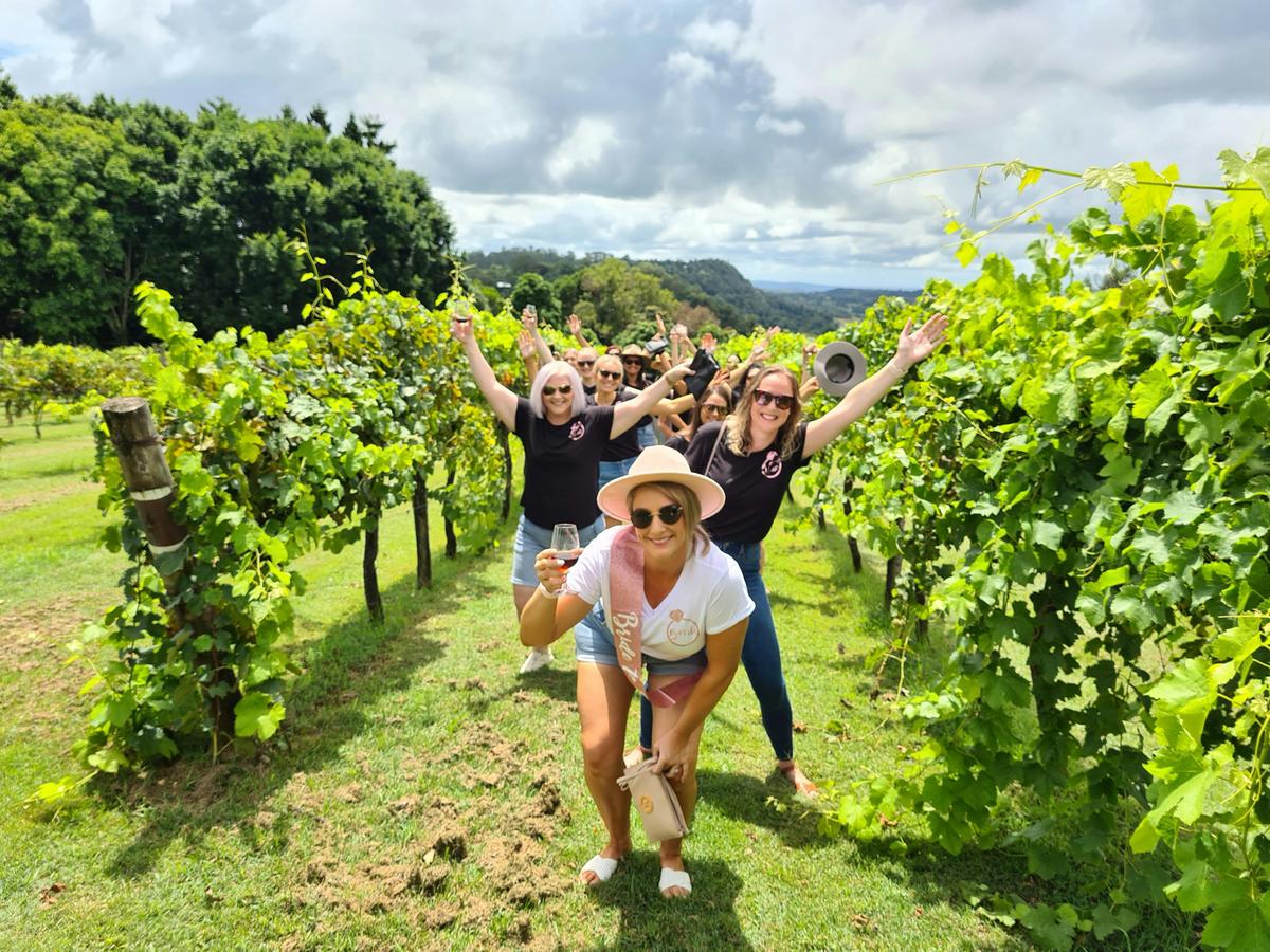Hinterland Cheese and Wine Tour