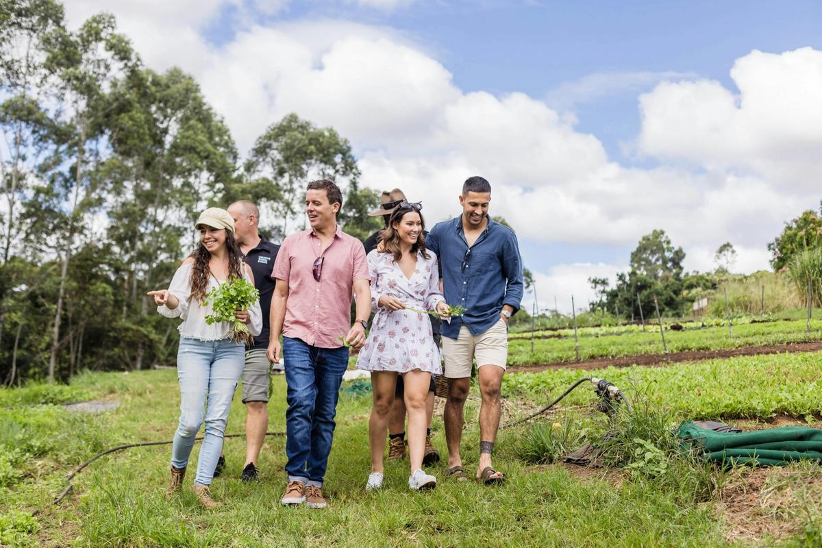 Hinterland Farm to Fork - Sunshine Coast Food Tour