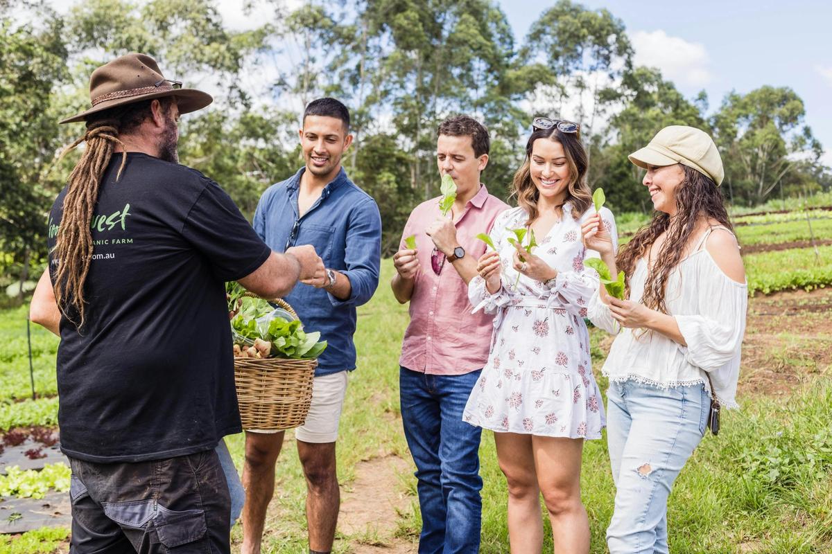 Hinterland Farm to Fork - Sunshine Coast Food Tour