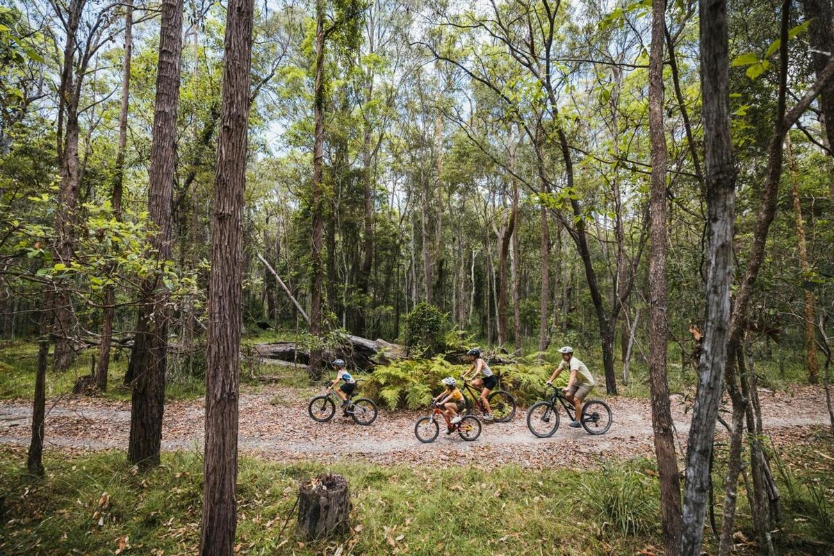 Family Bike Ride at Don and Christine Burnett Conservation Area, Redlands Coast QLD